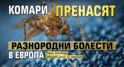 Комари пренасят разнородни болести в Европа