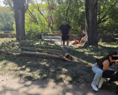 Огромен клон се стовари върху възрастен мъж в Пловдив