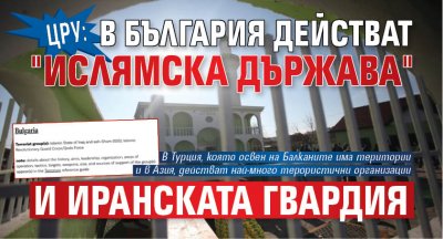 ЦРУ: В България действат "Ислямска държава" и Иранската гвардия