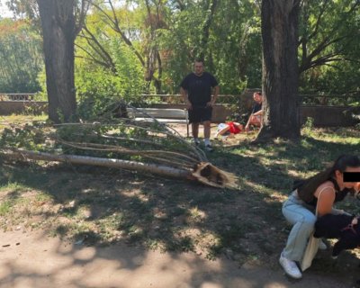 Огромен клон се стовари върху възрастен мъж в Пловдив