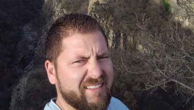 Заради дървото-убиец: Уволниха шефа на "Градини и паркове" в Пловдив