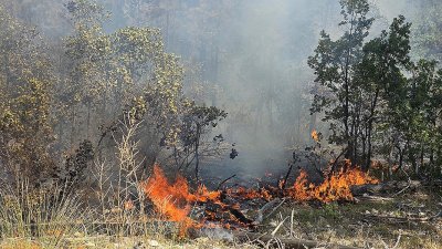 Пожар избухна в Рупите, под заплаха е Хераклея Синтика