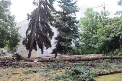 Бурята удари Нови пазар, Шумен, Хитрино, на места спря токът
