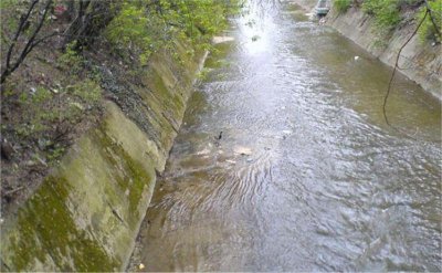 Мъж цопна в Перловската река до Орлов мост, екипи го спасяват