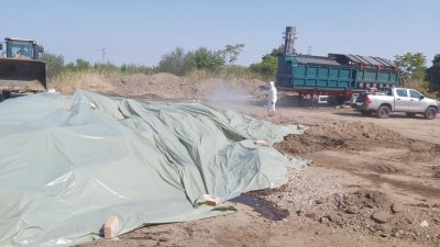 Само един инсинератор унищогава заразените овце и кози в Пловдив