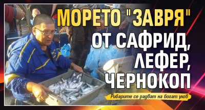 Морето "завря" от сафрид, лефер, чернокоп