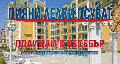 Пияни лелки псуват полицаи в Несебър
