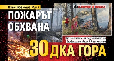 Огън поглъща Рила: Пожарът обхвана 30 дка гора (СНИМКИ И ВИДЕО)
