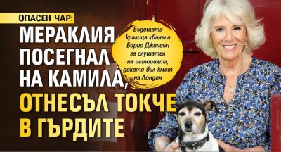 ОПАСЕН ЧАР: Мераклия посегнал на Камила, отнесъл токче в гърдите