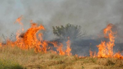 Силен пожар в Хасково, 4 екипа огнеборци гасят пламъците 