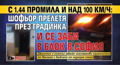 С 1.44 промила и над 100 км/ч: Ненормалник прелетя през градинка и се заби в блок в София (ВИДЕО)