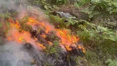 90 огнеборци не успяват да угасят пожара в Рила