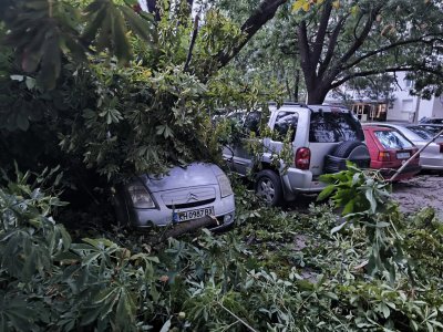 Паднали дървета и пожари след бурята в Кюстендил (ВИДЕО)