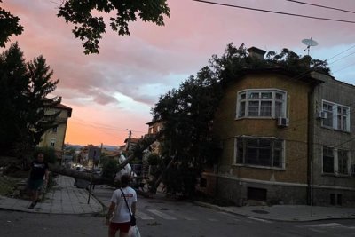 Мощна буря удари Кюстендил, кметът моли за помощ
