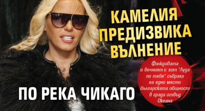 Камелия предизвика вълнение по река Чикаго 