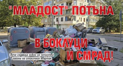 "Младост" потъна в боклуци и смрад!