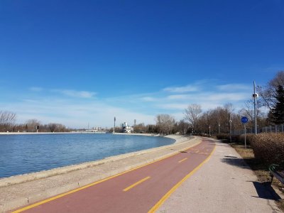 Пожар лумна край Гребната база в Пловдив