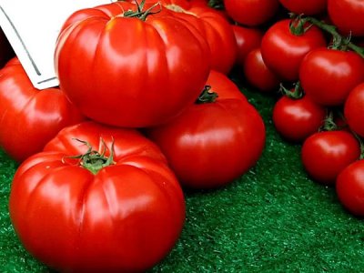Мина му времето: Червеният домат детронира розовия