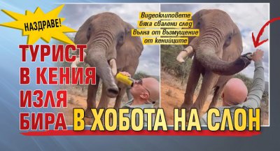 Наздраве! Турист в Кения изля бира в хобота на слон 