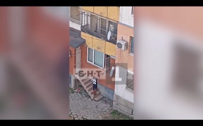 Ето как дилърът Поро разпространява дрога в Ботевград (ВИДЕО)