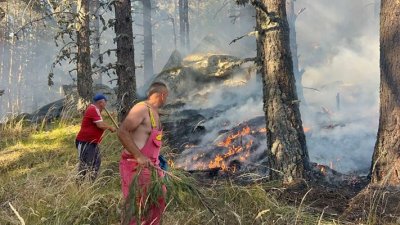 Ограничен е пожарът в Национален парк "Рила"
