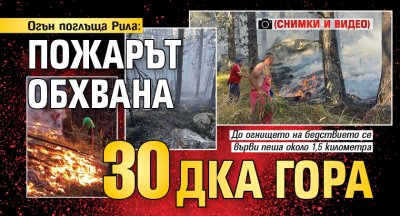 Огън поглъща Рила: Пожарът обхвана 30 дка гора (СНИМКИ И ВИДЕО)
