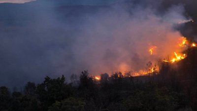 Огнената стихия поглъща нови територии от Рила