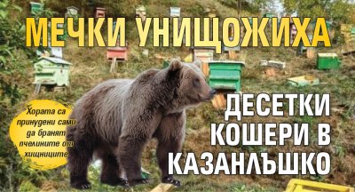 Мечки унищожиха десетки кошери в Казанлъшко