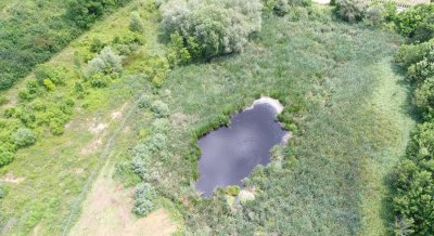 Разрешение са строеж е издадено за част от Боянското блато