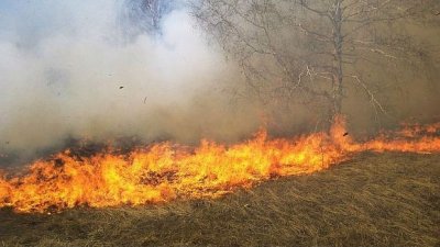 Държавата умува как да поправи безумен закон за земеделците