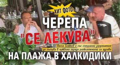 ХИТ ФОТО: Черепа "се лекува" на плажа в Халкидики