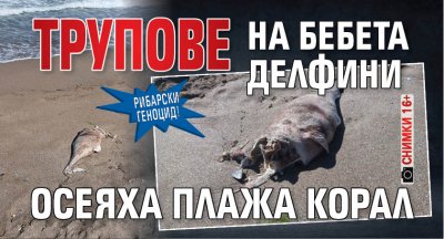 РИБАРСКИ ГЕНОЦИД! Трупове на бебета делфини осеяха плажа Корал (снимки 16+)