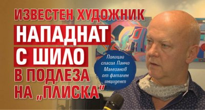 Известен художник нападнат с шило в подлеза на "Плиска"