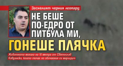 Заснелият черния леопард: Не беше по-едро от питбула ми, гонеше плячка