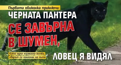 Първата обиколка приключи: Черната пантера се завърна в Шумен, ловец я видял 