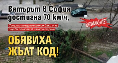 Внимание! Вятърът в София достигна 70 км/ч, обявиха жълт код!