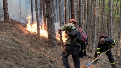 Локализиран е пожарът в Сакар