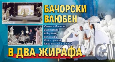 Бачорски влюбен в два жирафа