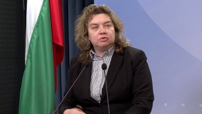 Киселова: Мотивите на ПП-ДБ по вота показват слабо познаване на Конституцията 