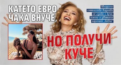 Катето Евро чака внуче, но получи куче