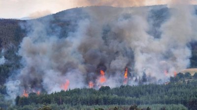 Пожар бушува по върховете на Рила 