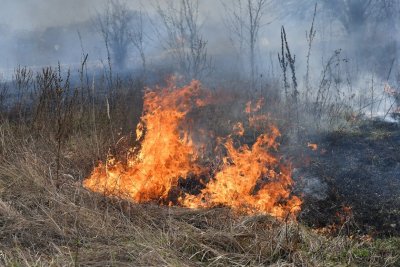 Пожар се разбушува между селата Левски и Попинци