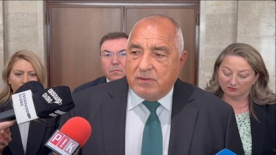 Бойко Борисов: В ГЕРБ е пълно с гейове*