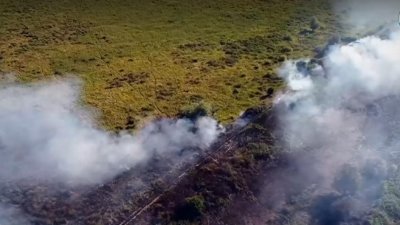 Нов пожар в защитена местност край Тутракан