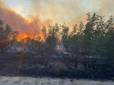 Голям пожар край Струмяни
