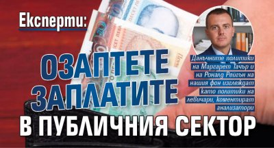 Експерти: Озаптете заплатите в публичния сектор