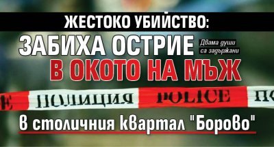 Жестоко убийство: Забиха острие в окото на мъж в столичния квартал "Борово"