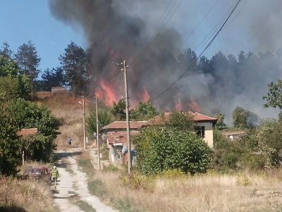 Кошмар: Голям пожар избухна в гората край Сухиндол, огънят достигна къщите 