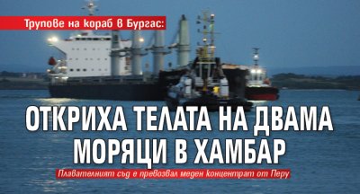 Трупове на кораб в Бургас: Откриха телата на двама моряци в хамбар