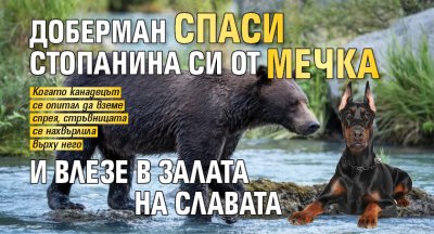 Доберман спаси стопанина си от мечка и влезе в Залата на славата